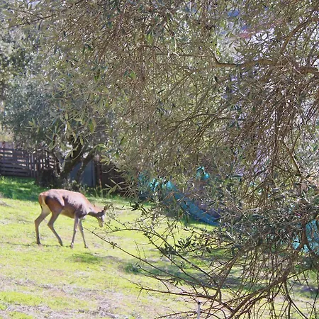 Casa La Abubilla By Sierra Viva